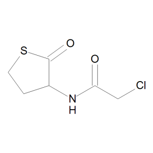 N-Chloroacetyl DL-Homocysteine Thiolactone