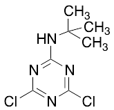 2-(tert-Butylamino)-4,6-dichloro-1,3,5-triazine