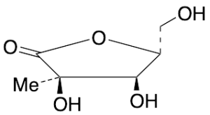 2-C-Methyl-D-ribono-1,4-lactone