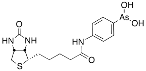 N-Biotinyl p-Aminophenyl Arsenic Acid