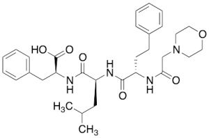 (S)-2-((S)-4-Methyl-2-((S)-2-(2-morpholinoacetamido)-4-phenylbutanamido)pentanamido)-3-phenylpropanoic Acid