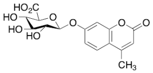 4-Methylumbelliferyl beta-D-Glucuronide