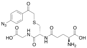 S-(p-Azidophenacyl)glutathione