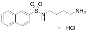 N-(4-Aminobutyl)-2-naphthalenesulfonamide Hydrochloride