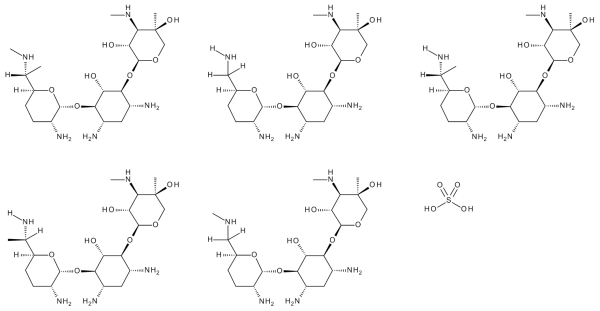 Gentamicin Sulfate Salt (C Complex)