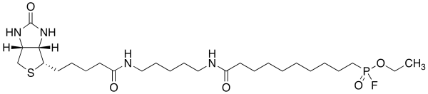 FP-Biotin (Mixture of Diastereomers)