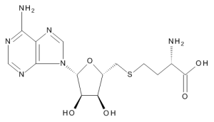 S-(5'-Adenosyl)-L-homocysteine