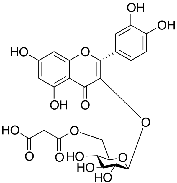 Quercetin 3-O-(6''-O-Malonyl)-b-D-glucoside