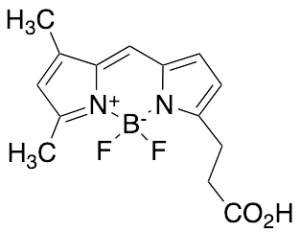 3-Bodipy-propanoic Acid