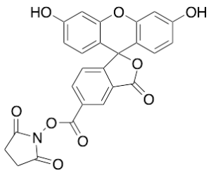 5-Carboxyfluorescein-N-hydroxysuccinimide Ester