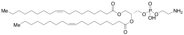 1,2-Dioleoyl-sn-glycero-3-phosphatidylethanolamine (DOPE)