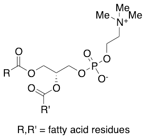 Lecithin (Technical Grade)