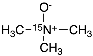 N,N-Dimethylmethanamine Oxide-15N