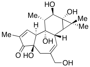 Phorbol