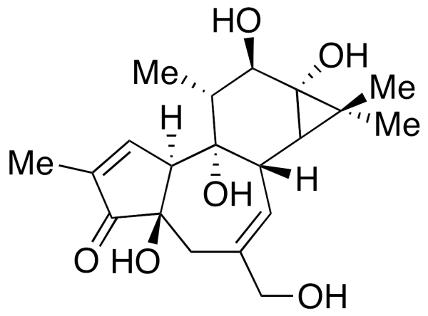 Phorbol