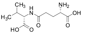 L-gamma-Glutamyl-L-valine