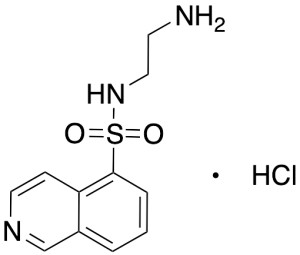 N-(2-Aminoethyl)-5-isoquinolinesulfonamide Hydrochloride