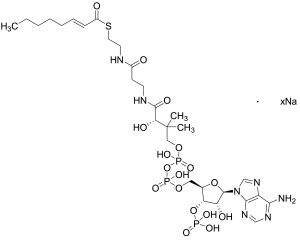 S-(2E)-2-Octenoate Coenzyme A Sodium Salt
