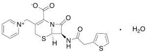 Cephaloridine Monohydrate