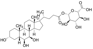 Beta-Muricholic Acid Glucuronide Conjugate 4