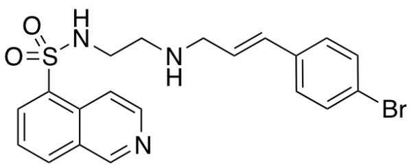 N-[2-(p-Bromocinnamylamino)ethyl]-5-Isoquinoline Sulfonamide