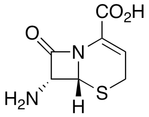 7-Amino-3-cephem-4-carboxylic Acid