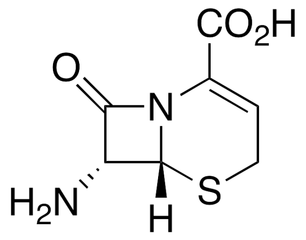 7-Amino-3-cephem-4-carboxylic Acid