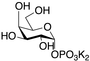 alpha-D-Galactose 1-Phosphate Dipotassium Salt