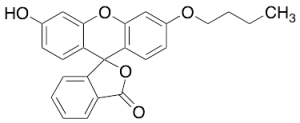 N-Butylfluorescein