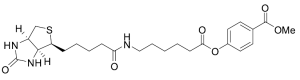 N-Biotinylcaproic Methyl 4-Hydroxybenzoate
