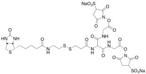 5-[2-Biotinylamidoethyl]-dithiopropionamido]-3,7-diaza-4,6-diketononanoic Acid Bis-N-sulfosuccinimidyl Ester Disodium Salt