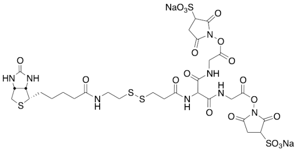 5-[2-Biotinylamidoethyl]-dithiopropionamido]-3,7-diaza-4,6-diketononanoic Acid Bis-N-sulfosuccinimidyl Ester Disodium Salt