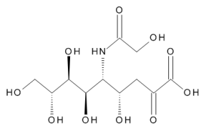 N-Glycolyl Neuraminic Acid