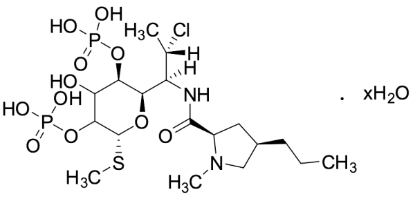 Clindamycin 2,4-Diphosphate