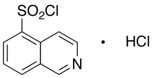 Isoquinoline-5-sulfonyl Chloride, Hydrochloride