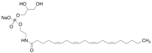 Glycerophospho-N-Arachidonoyl Ethanolamine Sodium Salt