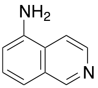 5-Amino Isoquinoline