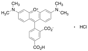 5-Carboxytetramethyl Rhodamine Monohydrochloride