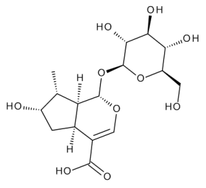 Loganic Acid