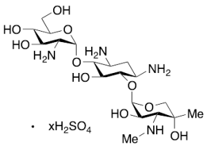 Gentamicin X2 Sulfate
