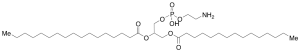 1,2-Dipalmitoyl-rac-glycero-3-phosphoethanolamine