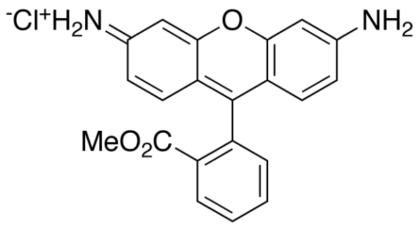 Rhodamine-123