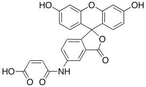 Fluoresceinamine Maleic Acid Monoamide