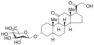 Alphadolone 3-β-D-Glucuronide