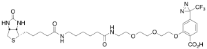 2-[2-[2-[2-[6-(Biotinylaminohexanoyl]aminoethoxy]ethoxy]ethoxy]-4-[3-(trifluoromethyl)-3H-diazirin-3-yl]benzoic Acid