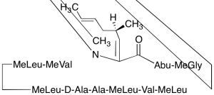 Dehydro Cyclosporin A (~90%)