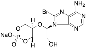 8-Bromo-cAMP Sodium Salt