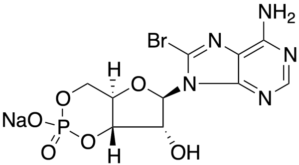 8-Bromo-cAMP Sodium Salt