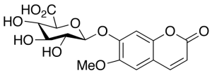 Scopoletin Beta-D-Glucuronide