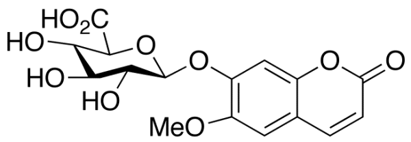 Scopoletin Beta-D-Glucuronide